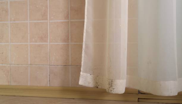Mold Remediation for Vacation Homes in Rainbow Park, FL
