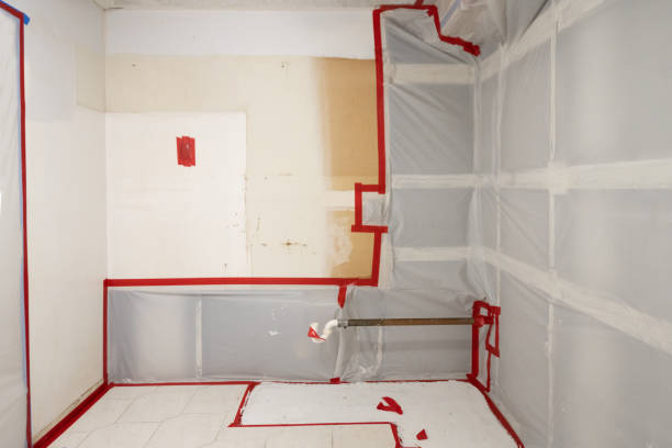 Best Black Mold Removal  in Rainbow Park, FL