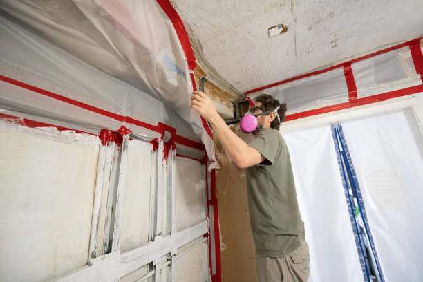Best Indoor Air Quality Assessment  in Rainbow Park, FL