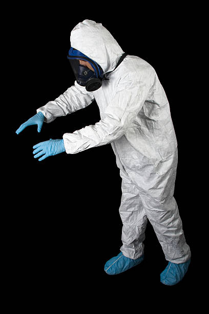 Best Attic Mold Removal  in Rainbow Park, FL