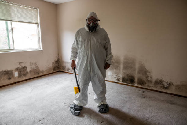 Best Industrial Mold Remediation  in Rainbow Park, FL